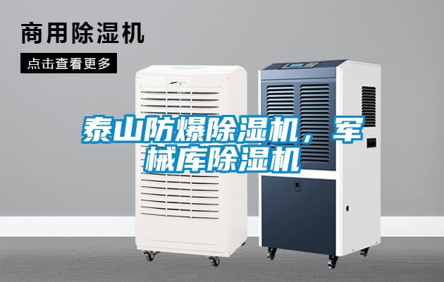 泰山防爆除濕機(jī)，軍械庫(kù)除濕機(jī)