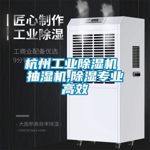 杭州工業(yè)除濕機 抽濕機,除濕專業(yè)高效