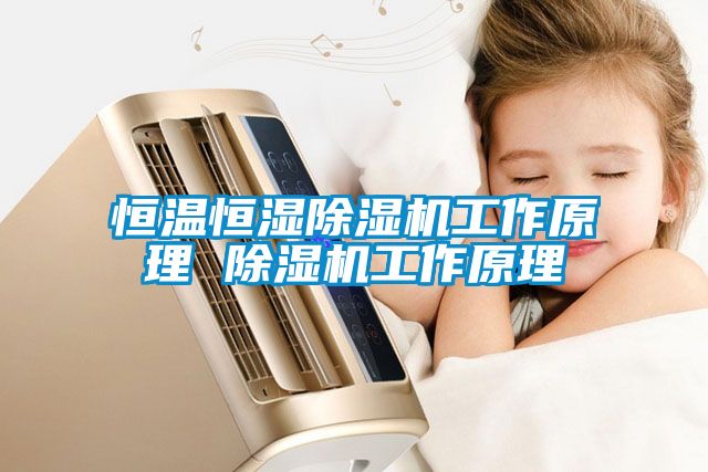 恒溫恒濕除濕機工作原理 除濕機工作原理
