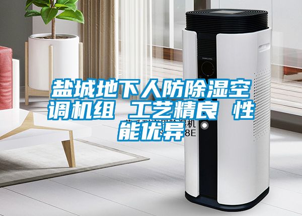 鹽城地下人防除濕空調(diào)機(jī)組 工藝精良 性能優(yōu)異