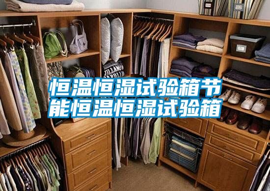 恒溫恒濕試驗(yàn)箱節(jié)能恒溫恒濕試驗(yàn)箱