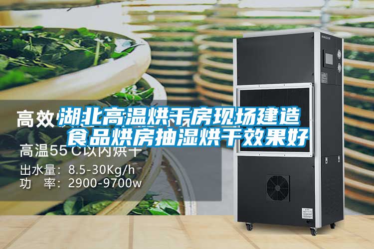 湖北高溫烘干房現(xiàn)場建造 食品烘房抽濕烘干效果好