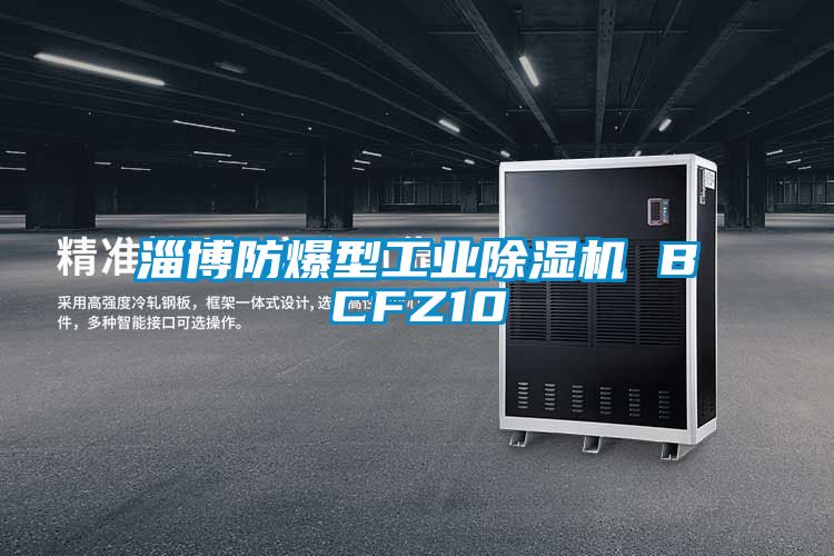 淄博防爆型工業除濕機 BCFZ10