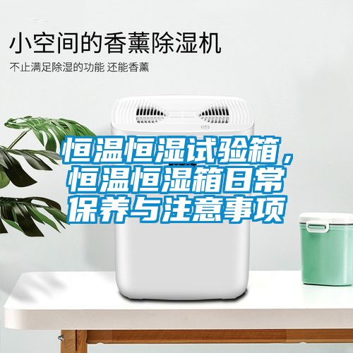 恒溫恒濕試驗(yàn)箱，恒溫恒濕箱日常保養(yǎng)與注意事項(xiàng)