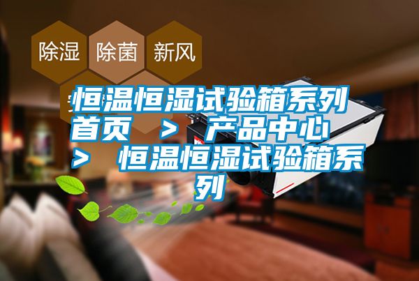 恒溫恒濕試驗箱系列首頁 ＞ 產(chǎn)品中心 ＞ 恒溫恒濕試驗箱系列