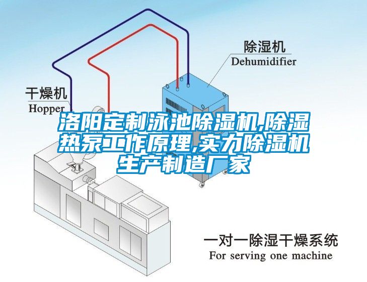 洛陽定制泳池除濕機,除濕熱泵工作原理,實力除濕機生產制造廠家