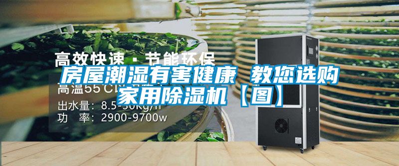 房屋潮濕有害健康 教您選購(gòu)家用除濕機(jī)【圖】