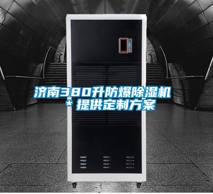 濟南380升防爆除濕機 ＊提供定制方案