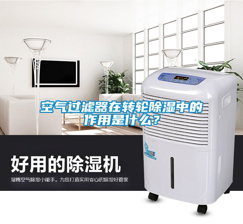 空氣過濾器在轉輪除濕中的作用是什么？