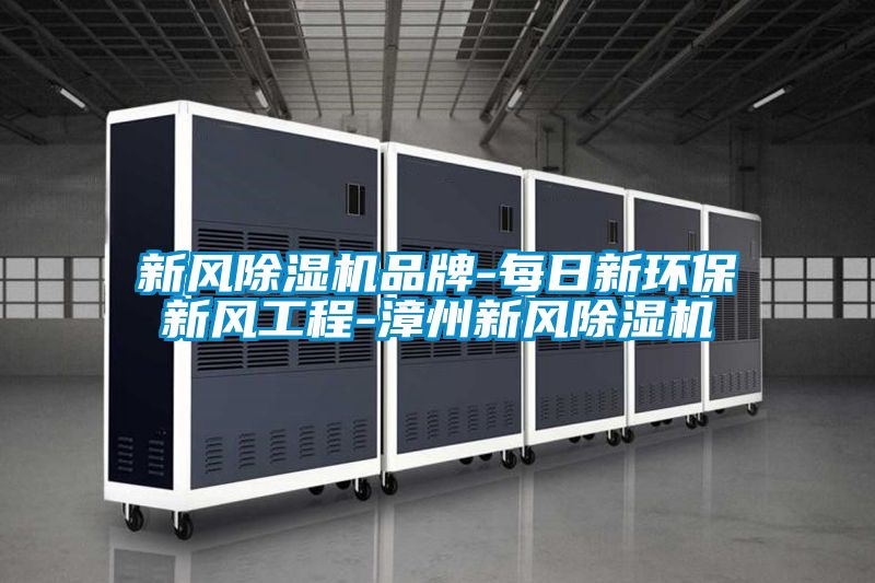 新風除濕機品牌-每日新環保新風工程-漳州新風除濕機