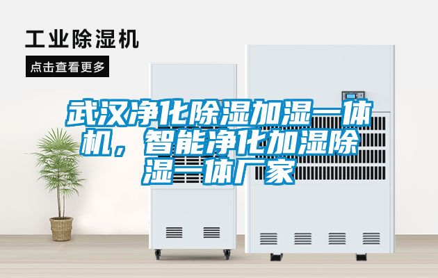 武漢凈化除濕加濕一體機，智能凈化加濕除濕一體廠家