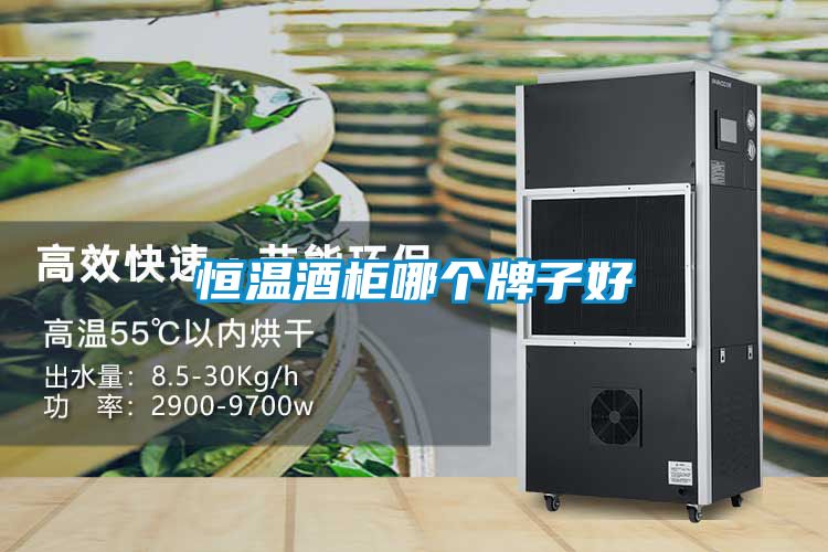恒溫酒柜哪個牌子好