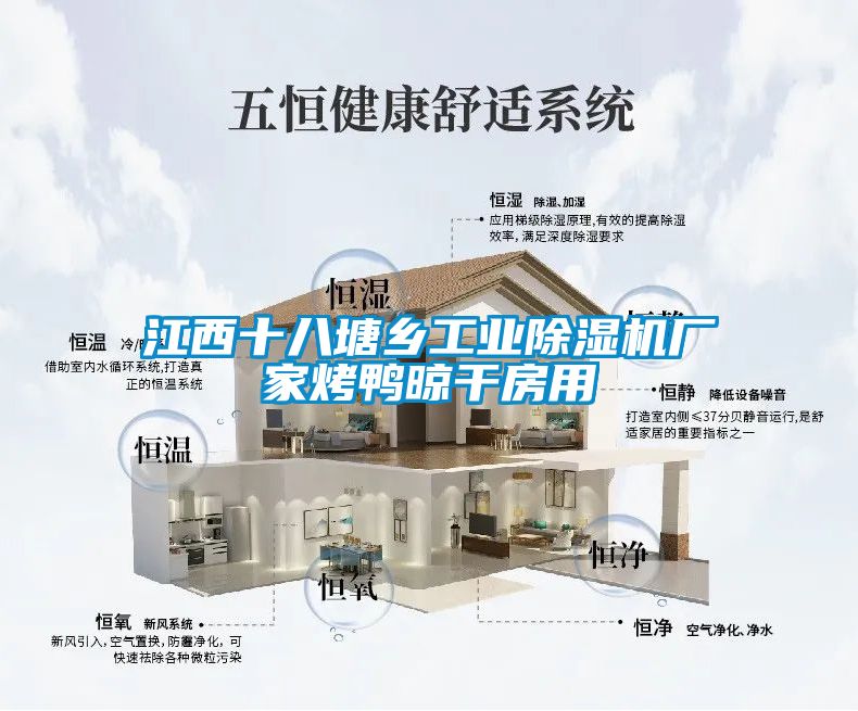 江西十八塘鄉工業除濕機廠家烤鴨晾干房用