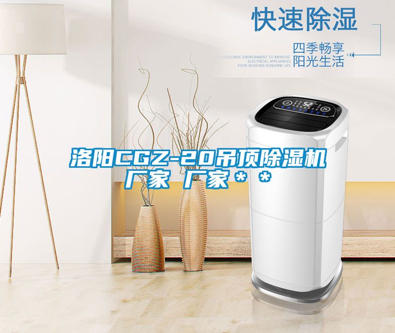 洛陽CGZ-20吊頂除濕機廠家 廠家＊＊