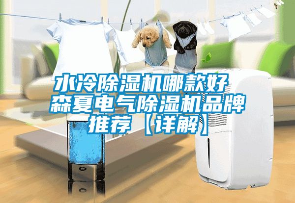 水冷除濕機哪款好 森夏電氣除濕機品牌推薦【詳解】