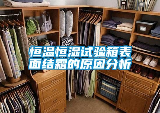 恒溫恒濕試驗箱表面結霜的原因分析
