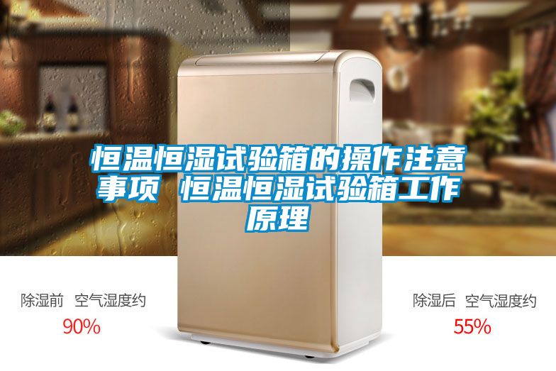 恒溫恒濕試驗箱的操作注意事項 恒溫恒濕試驗箱工作原理