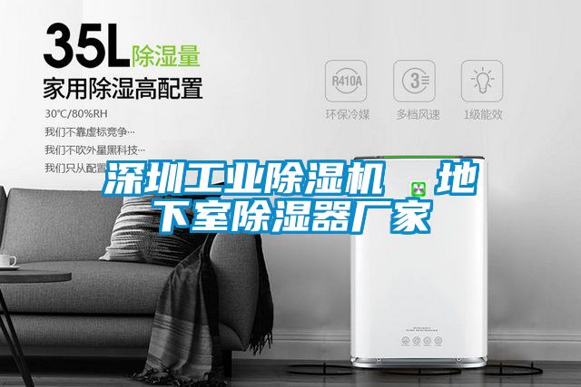 深圳工業除濕機  地下室除濕器廠家