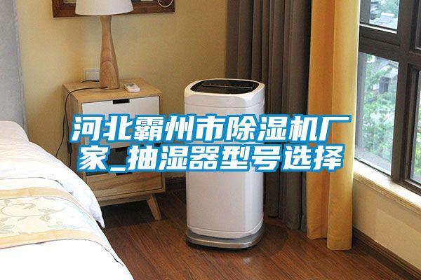 河北霸州市除濕機(jī)廠家_抽濕器型號(hào)選擇