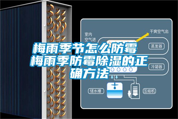 梅雨季節怎么防霉 梅雨季防霉除濕的正確方法
