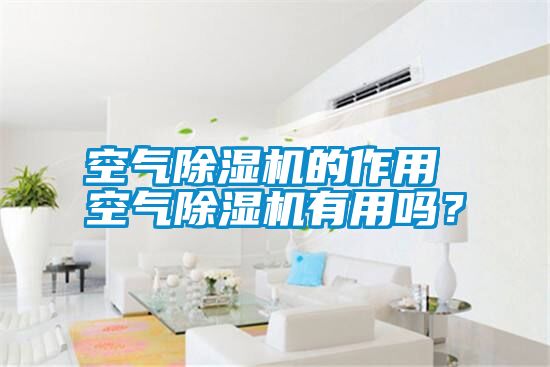 空氣除濕機的作用 空氣除濕機有用嗎？