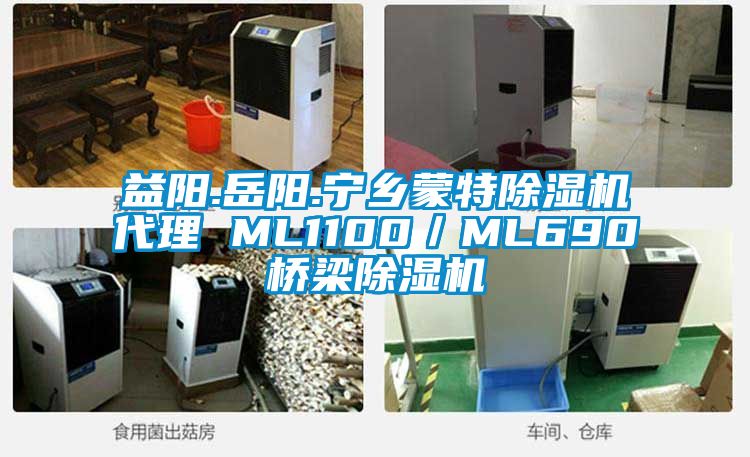 益陽.岳陽.寧鄉(xiāng)蒙特除濕機(jī)代理 ML1100／ML690橋梁除濕機(jī)