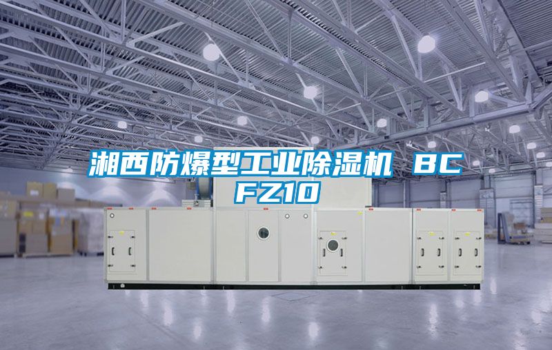 湘西防爆型工業除濕機 BCFZ10