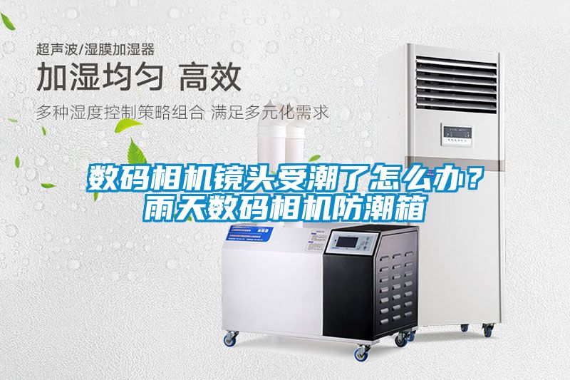 數碼相機鏡頭受潮了怎么辦？雨天數碼相機防潮箱
