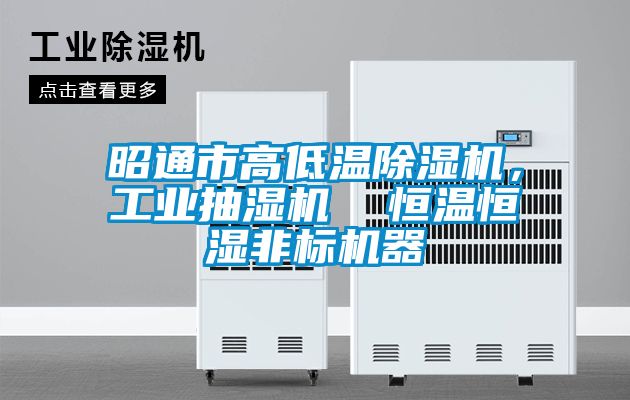 昭通市高低溫除濕機，工業抽濕機  恒溫恒濕非標機器