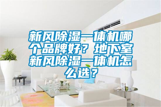 新風(fēng)除濕一體機(jī)哪個(gè)品牌好？地下室新風(fēng)除濕一體機(jī)怎么選？