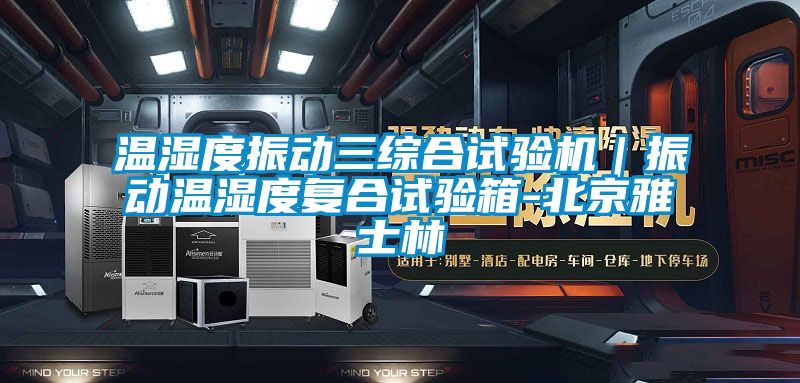 溫濕度振動三綜合試驗機｜振動溫濕度復合試驗箱-北京雅士林