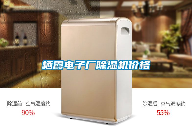 棲霞電子廠除濕機價格