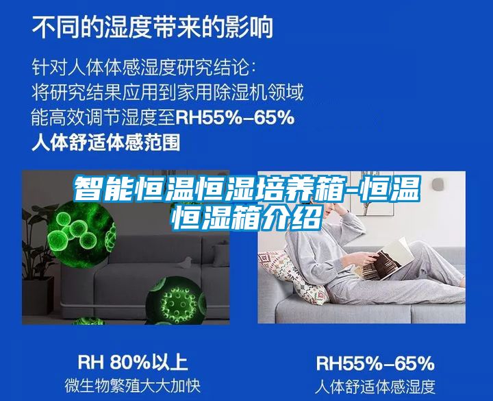 智能恒溫恒濕培養(yǎng)箱-恒溫恒濕箱介紹