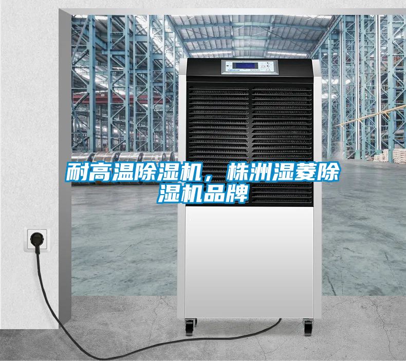 耐高溫除濕機，株洲濕菱除濕機品牌