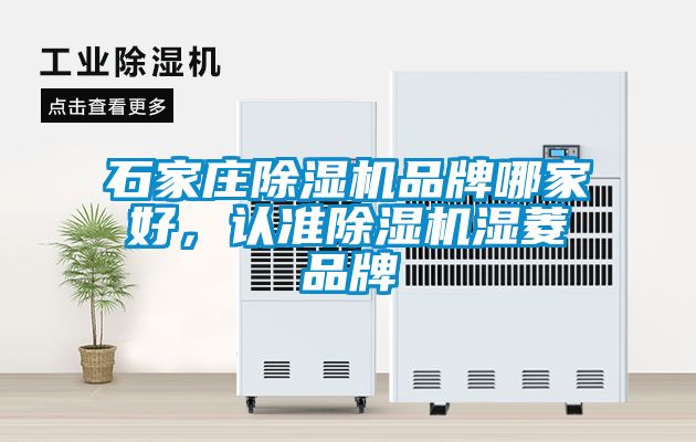 石家莊除濕機品牌哪家好，認準除濕機濕菱品牌