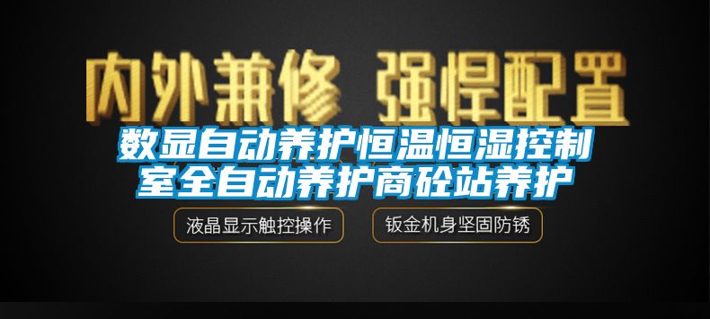 數顯自動養護恒溫恒濕控制室全自動養護商砼站養護