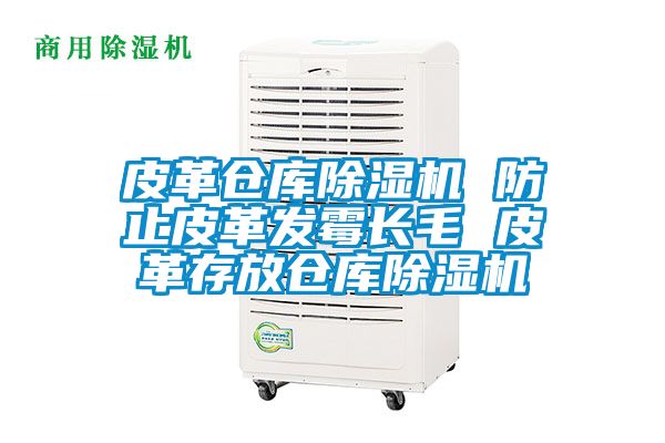 皮革倉庫除濕機 防止皮革發霉長毛 皮革存放倉庫除濕機