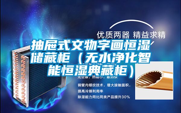 抽屜式文物字畫恒濕儲藏柜（無水凈化智能恒濕典藏柜）