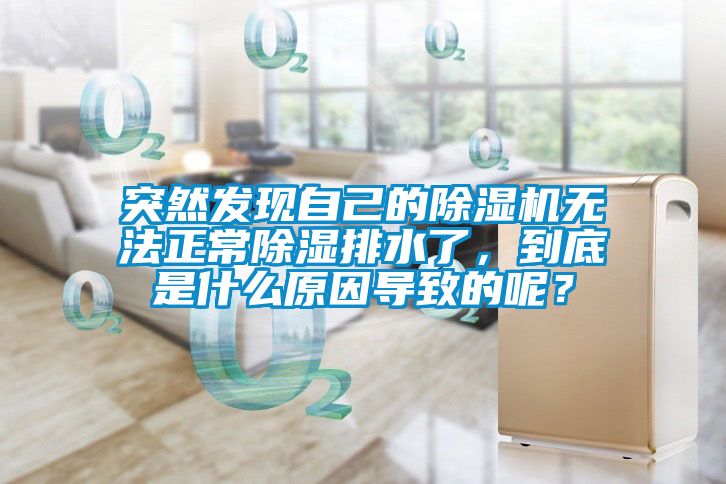 突然發(fā)現(xiàn)自己的除濕機(jī)無法正常除濕排水了，到底是什么原因?qū)е碌哪兀?/></p>
<p style=