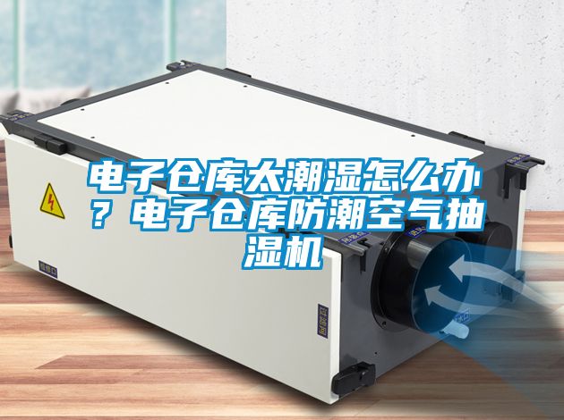 電子倉庫太潮濕怎么辦？電子倉庫防潮空氣抽濕機