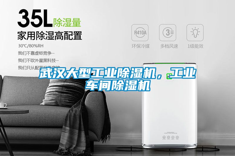 武漢大型工業除濕機，工業車間除濕機