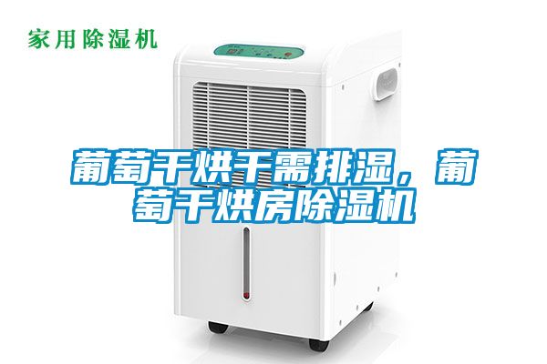 葡萄干烘干需排濕，葡萄干烘房除濕機