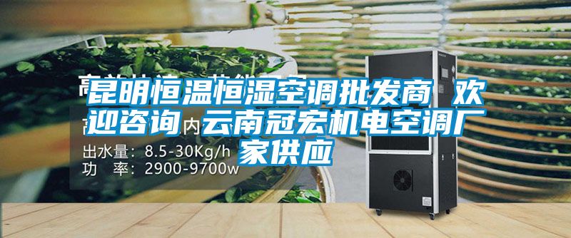 昆明恒溫恒濕空調(diào)批發(fā)商 歡迎咨詢 云南冠宏機(jī)電空調(diào)廠家供應(yīng)