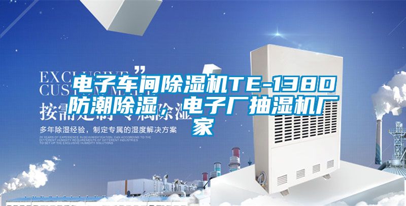 電子車間除濕機TE-138D防潮除濕，電子廠抽濕機廠家