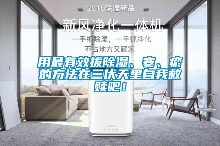 用最有效拔除濕、寒、瘀的方法在三伏天里自我救贖吧！