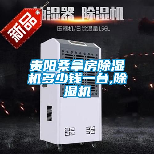 貴陽桑拿房除濕機多少錢一臺,除濕機