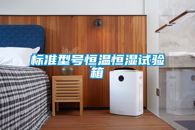 標(biāo)準(zhǔn)型號(hào)恒溫恒濕試驗(yàn)箱