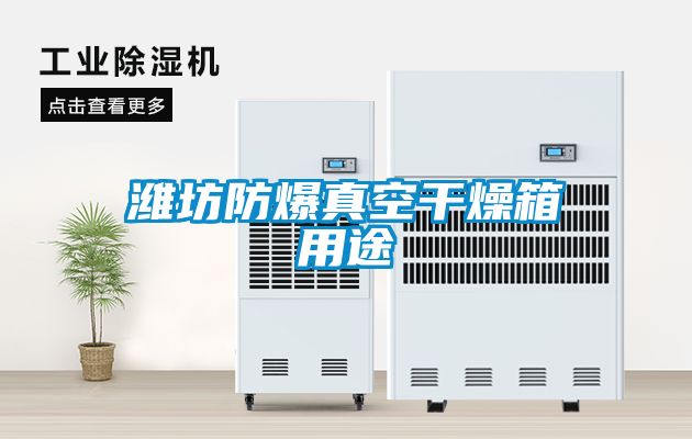 濰坊防爆真空干燥箱用途