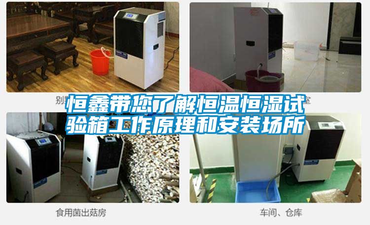 恒鑫帶您了解恒溫恒濕試驗箱工作原理和安裝場所