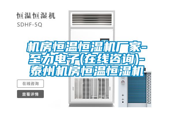 機(jī)房恒溫恒濕機(jī)廠家-至力電子(在線咨詢)-泰州機(jī)房恒溫恒濕機(jī)